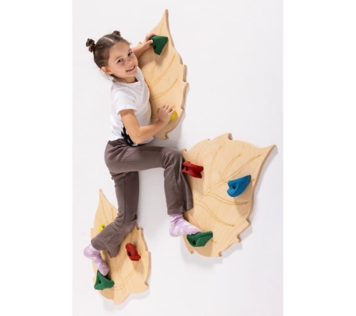 Ścianka wspinaczkowa liść