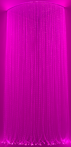 DSC_0492m.png