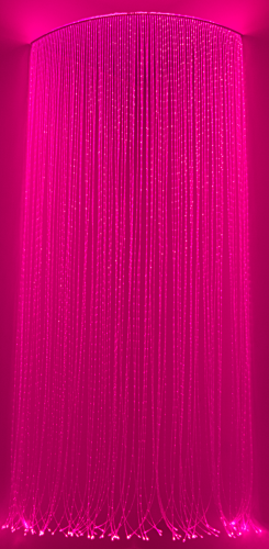 DSC_0498m.png