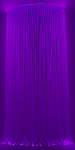 DSC_0503m.png