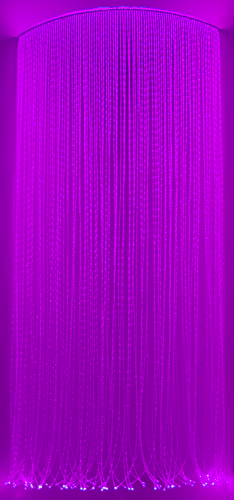 DSC_0505m.png