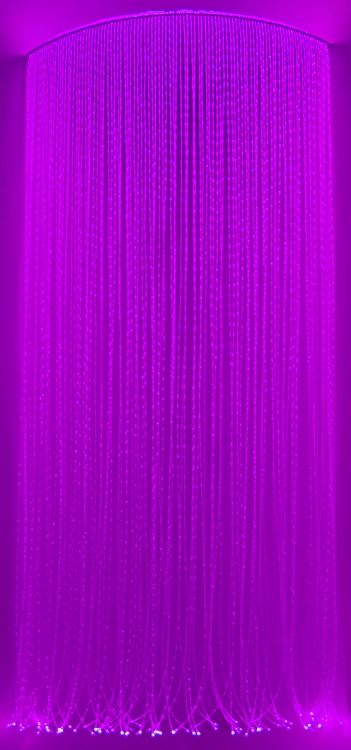 DSC_0505m.png