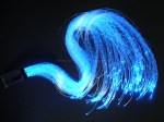 P1030877.jpg