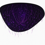 2d838959-ef56-49ad-bbd6-335a72ae5f6a.png