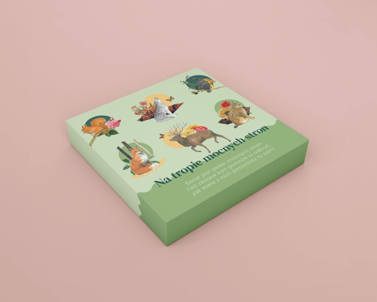 pude┼eko-mockup-3.png