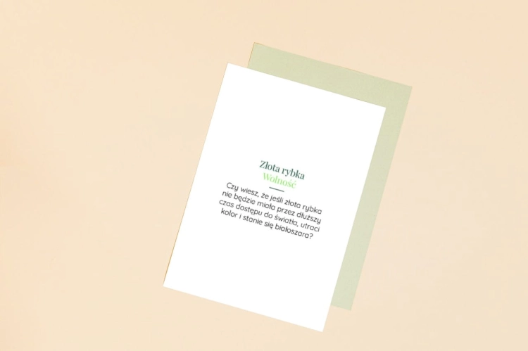 smartmockups_kvp2d2qr.jpg
