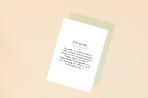 smartmockups_kvp2e22i.jpg