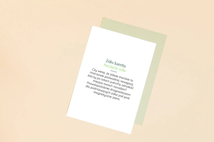 smartmockups_kvp2e22i.jpg