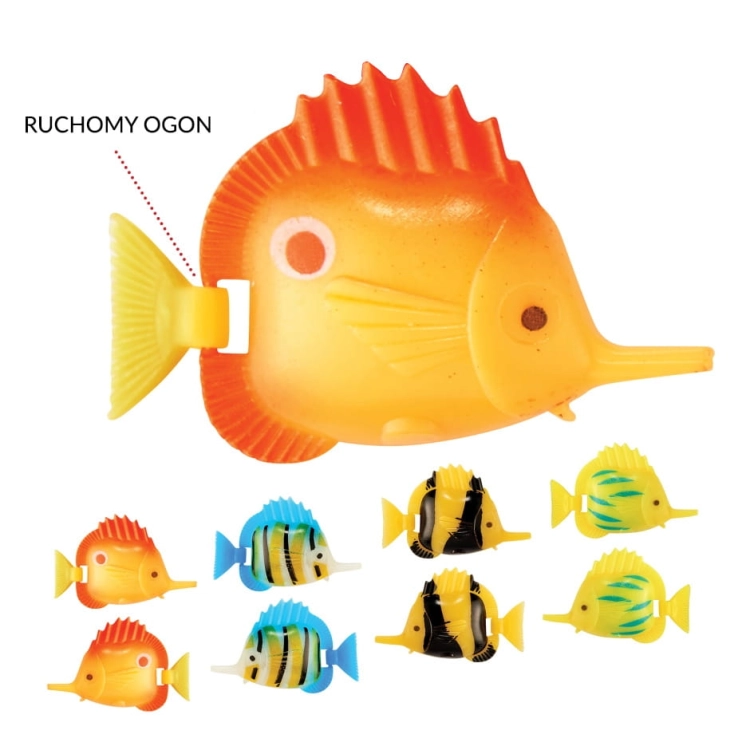 OGON RYBY.jpg