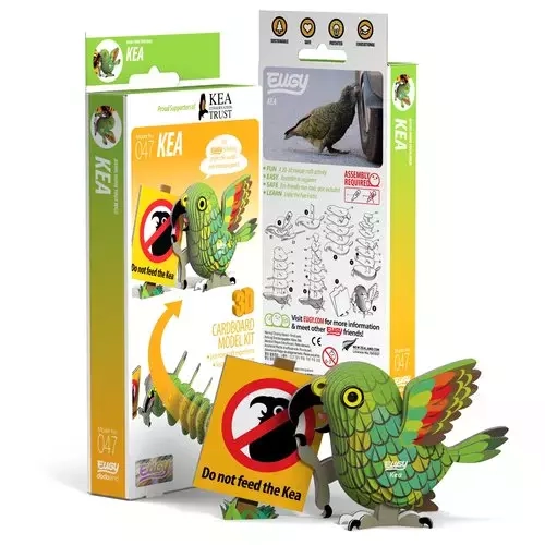 Papuga Kea Eugy. Eko Układanka 3D