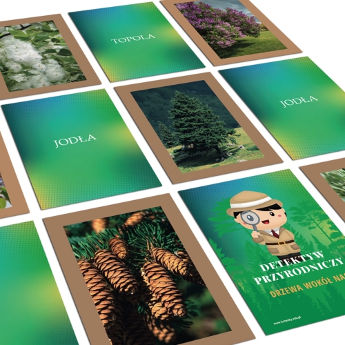 detektyw-drzewa.jpg