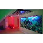 Rozgwieżdżone niebo