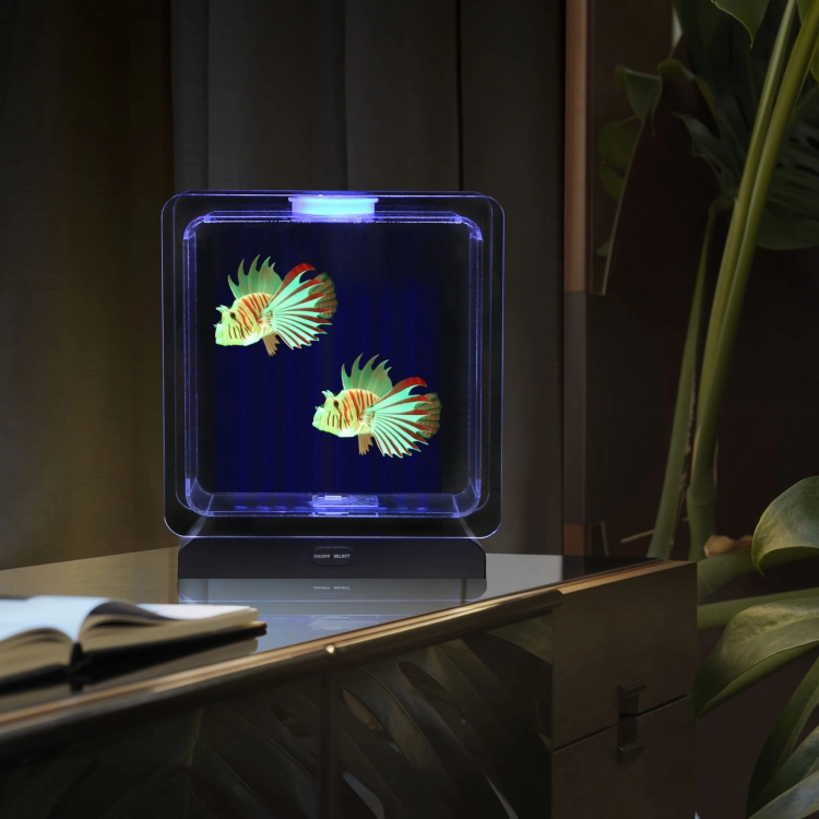 JFTTF-Jelly-Fish-Tank-Square-Tropical-Fish-B.jpg