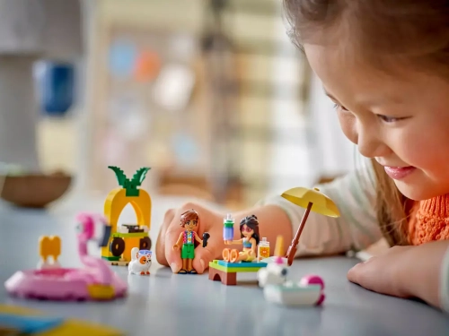 6ffcd-lego-friends-impreza-n.webp