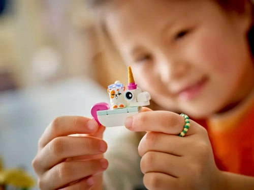 ed759-lego-friends-impreza-n.webp