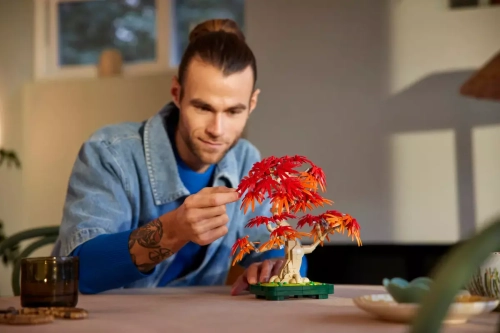 0ec04-lego-botanicals-klon-p.webp