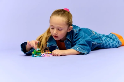 de7e61-lego-friends-przygoda.webp