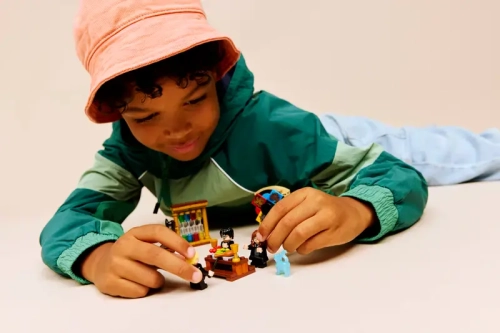 cf1fb-lego-harry-potter-8482.webp