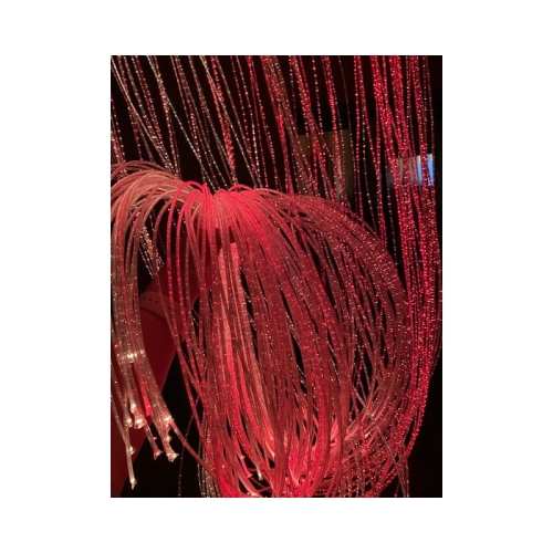 zestaw-switatlowodow-ufo-100sztx2m (1).jpg