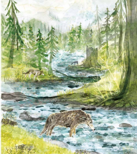5d517-puszcza-opowiesci-karp.jpg