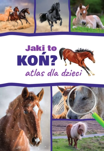 d2d5a18-jaki-to-kon-atlas-dl.webp