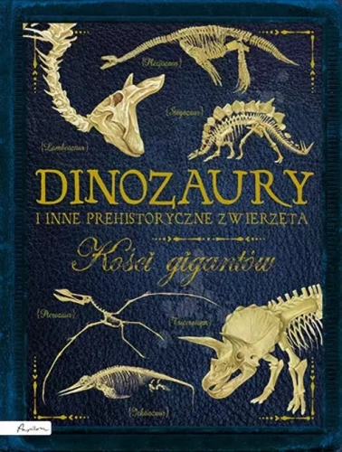 51e0eaa-dinozaury-i-inne-pre.webp