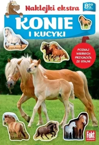 459372f-konie-i-kucyki-praca.webp