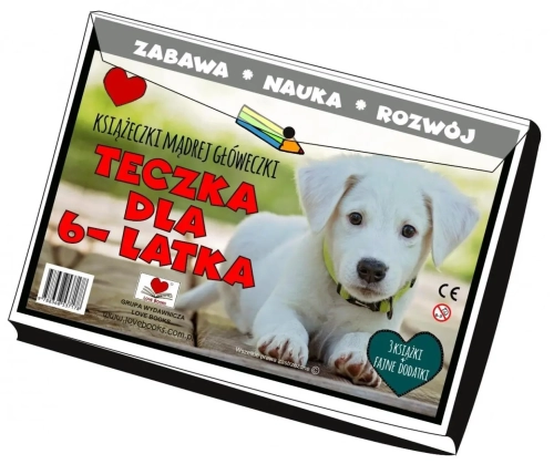 449c785-teczka-dla-6-latka-k.webp