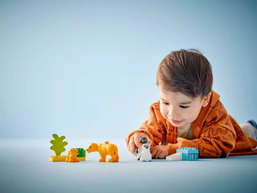 dd3bf-lego-duplo-rodziny-dzi.webp