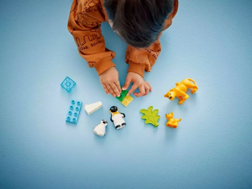 4b2a6-lego-duplo-rodziny-dzi.webp
