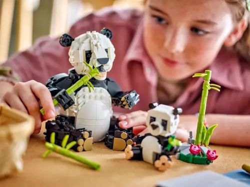 9b5e1-lego-creator-3-w-1-dzi.webp