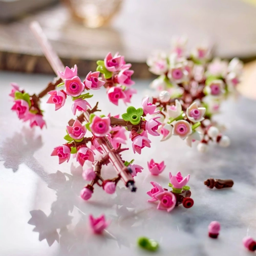 b436b-lego-flowers-kwiaty-wi.webp