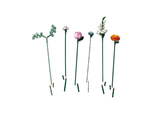 9052a-lego-the-botanical-col.webp