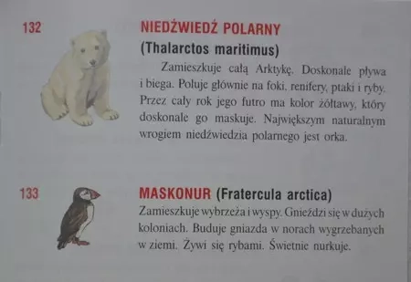 82-globus-zoologiczny-z-opis.webp