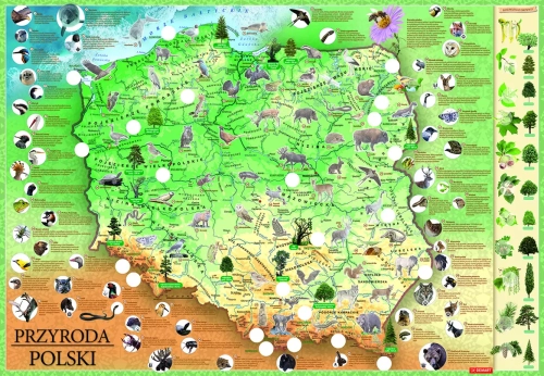 09574-mapa-z-naklejkami-przy.webp