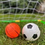 export.jpg