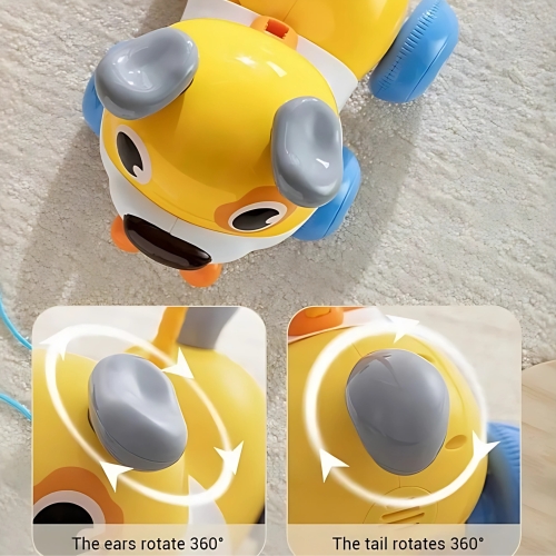 export.jpg