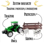 export.jpg