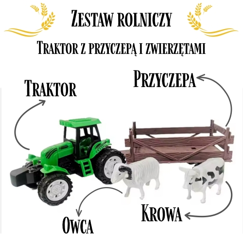 export.jpg