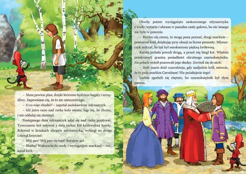 9b2ad915ccf04e1-kot-w-butach.webp