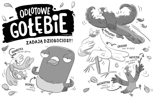 c88ae-odlotowe-golebie-zadaj.webp