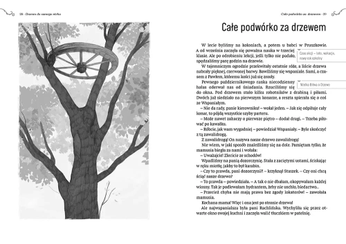 4a-drzewo-do-samego-nieba-wy.webp