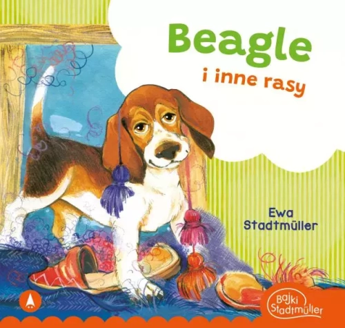 d4c81a5-beagle-i-inne-rasy-e.webp