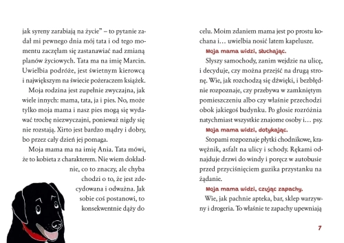 7b40d6-xirto-pies-przewodnik.webp