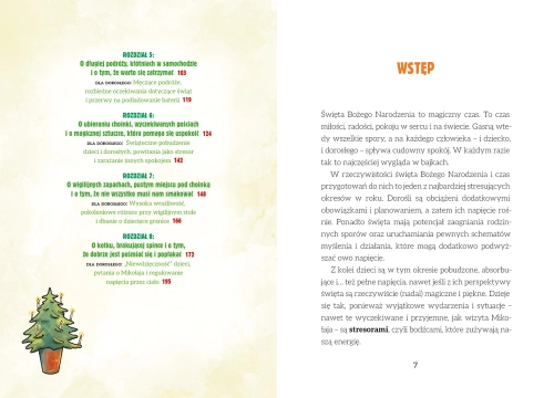 dfe87-self-regulation-swiate.webp