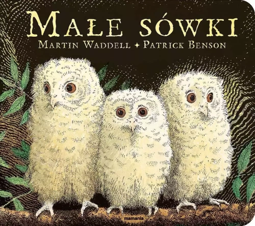 144eaf5-male-sowki-martin-wa.webp