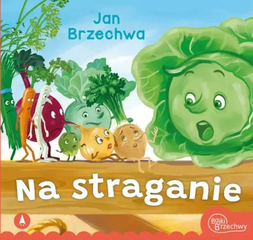 0636b7a-na-straganie-jan-brz.webp