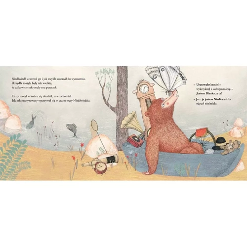 4fe34-niedzwiedz-lowca-motyl.webp
