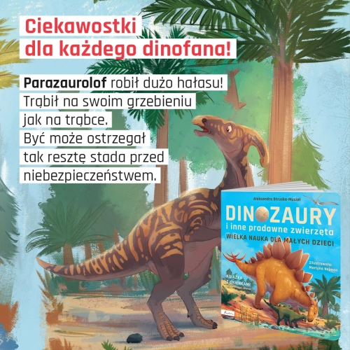 4d40b-wielka-nauka-dla-malyc.webp