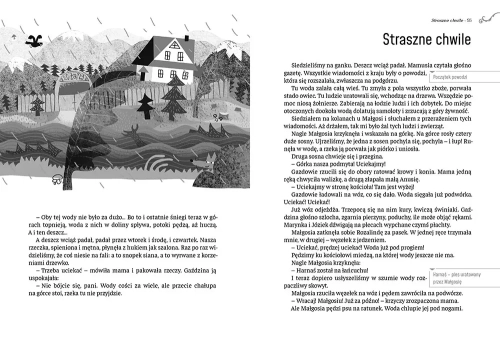 928-pamietnik-czarnego-noska.webp